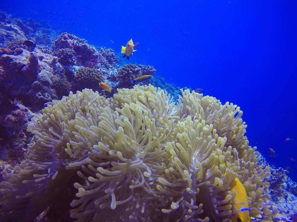 Holiday Home Rasdhoo エクステリア 写真