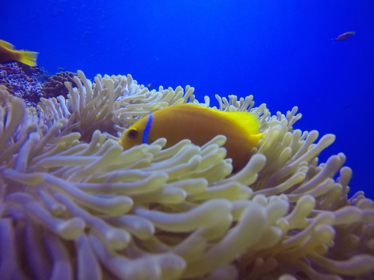 Holiday Home Rasdhoo エクステリア 写真