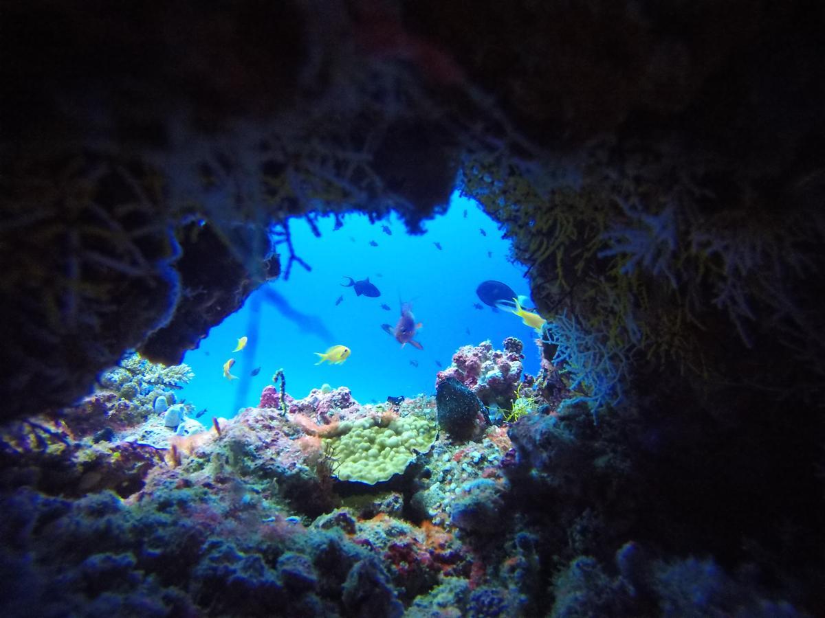 Holiday Home Rasdhoo エクステリア 写真